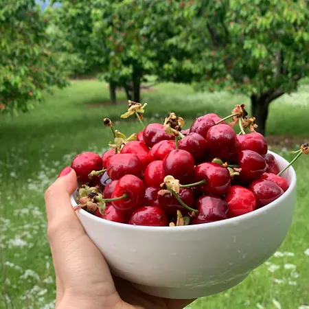 Among Cherries & Village Сasa de vacaciones Salari